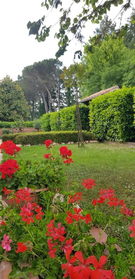 La Casa Di Gigliola Villa มอนติเชียโน ภายนอก รูปภาพ