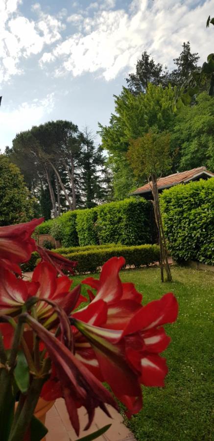 La Casa Di Gigliola Villa มอนติเชียโน ภายนอก รูปภาพ