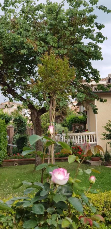 La Casa Di Gigliola Villa มอนติเชียโน ภายนอก รูปภาพ