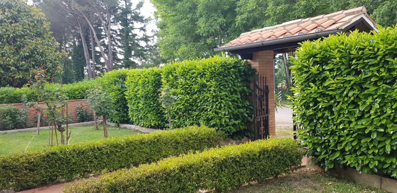 La Casa Di Gigliola Villa มอนติเชียโน ภายนอก รูปภาพ